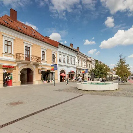 Mid Appartamento Cluj-Napoca